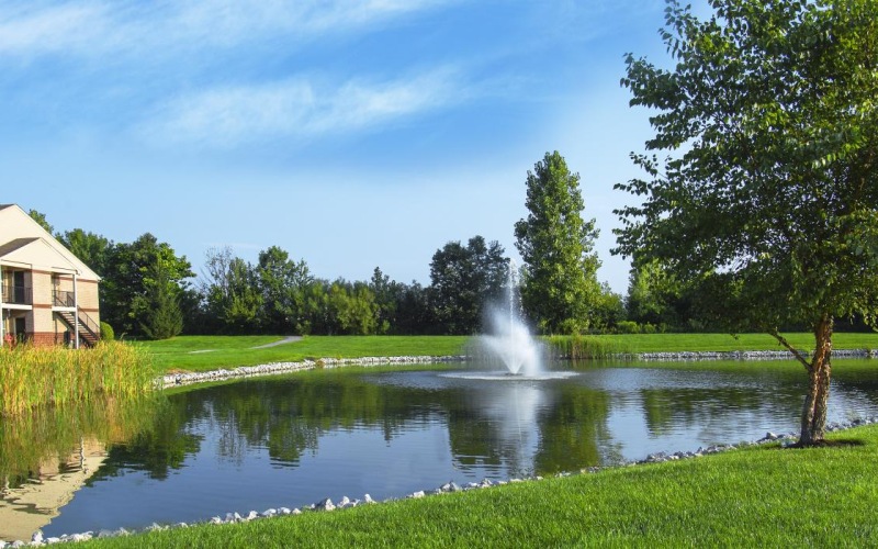 a pond with a fountain in it